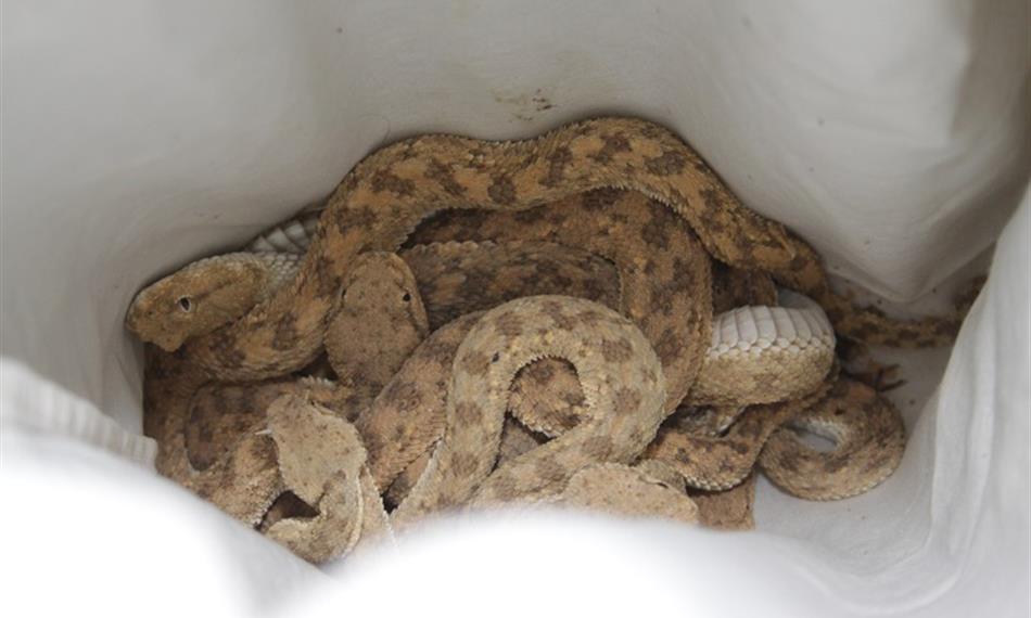 2014-10-21-941CITES 9.jpg